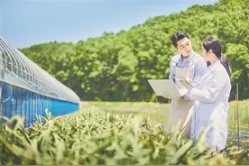 实习备考体验生活，高校港澳台留校生暑假这样过图片