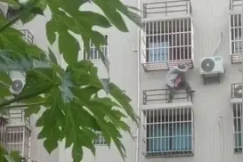 连江女童化险为夷！全城寻找“托举哥”图片