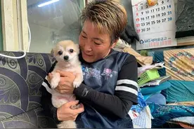 动物不是物品！韩国拟赋予动物法律地位 South Korea to give animals legal status to fight abuse and abandonment图片