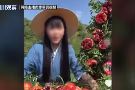 会理石榴几毛一斤没人要？千万别上当图片