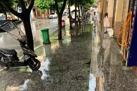 贵州遵义500米铺路石全是4亿年前的化石 专家：为常见腕足类化石图片