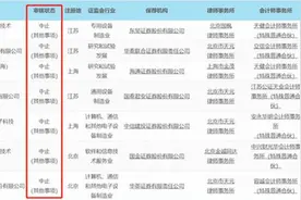 这个“雷”有点大，逾40家企业IPO或再融资项目遭中止审核图片