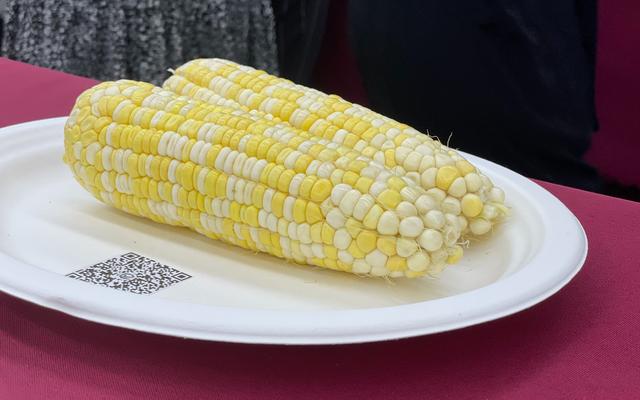 北京种植了3.5万亩鲜食玉米 哪些品种能够捕获市场的心？