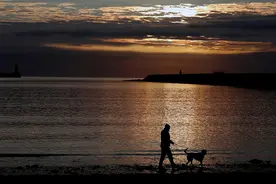 快评｜用公用餐具喂狗？文明养狗才能最大限度减少矛盾图片