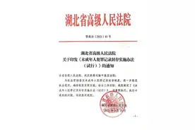 “90后”小伙助推湖北法院出台未成年人犯罪记录封存实施办法图片