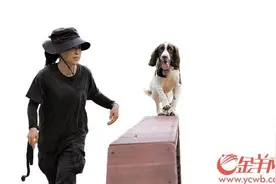 广东“智慧警犬幼儿园”毕业典礼 狗狗“考公”也很难图片