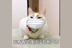口罩+眼镜=一秒起雾？清华团队研发的眼镜擦布了解一下图片