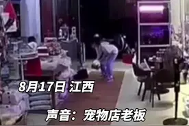 江西女子退猫被拒现场将它摔死，律师称不构成违法犯罪视频封面