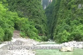 重庆奉节：景区恢复开园 免费游览！视频封面