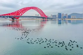 赛车、游艇、帆船……能玩遍这些项目的宝藏小镇，就在浙江图片