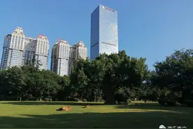 南宁市内有一处绿野仙踪的森林秘境，它竟然是南宁网红取景拍照地！却常称为“后花园”图片