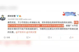 郑州交警提醒：不要把车停在高架桥及匝道上视频封面