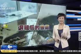 江苏南京：情侣退租后留下遗弃宠物和一屋垃圾视频封面
