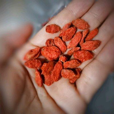 瑶柱花胶羊肚菌煲鸡 2026年羊肚菌花胶瑶柱炖鸡好处