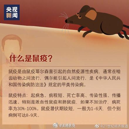 什么是鼠疫（什么是鼠疫如何预防鼠疫）
