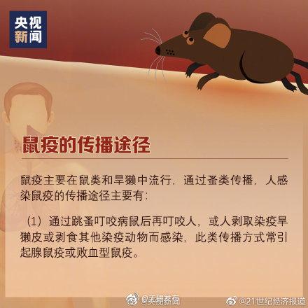 什么是鼠疫、如何预防鼠疫？