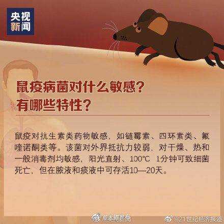 什么是鼠疫、如何预防鼠疫？