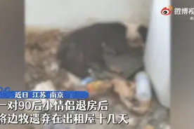90后情侣把宠物狗遗弃出租屋，狗子十几天没吃没喝全身发臭…图片