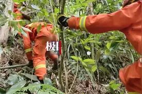 广西崇左14岁少女上山采药失联3天，多部门联合搜救找回图片