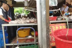 南宁摊主“过腊”拔鸭毛，引市民担忧！回应来了→图片