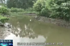 原本20多米宽的河道为何只剩不足3米宽？图片