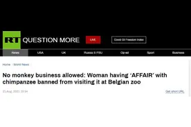 离奇！比利时一女子自称与动物园黑猩猩相爱并频繁探望，动物园下禁令图片