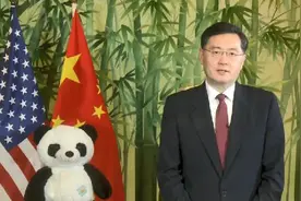 旅美大熊猫“小奇迹”庆祝周岁生日 秦刚：中美人民交往的又一抹亮色图片