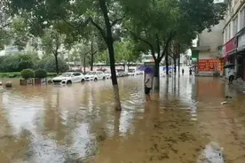 视频｜暴雨致汉中勉县数百辆汽车被淹 石门水库已开闸泄洪图片
