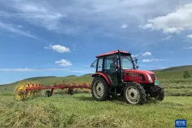 内蒙古兴安盟：草原打草忙图片