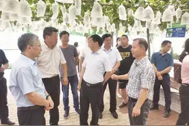 我为群众办实事｜镇江市农业科学院：把成绩写在大地上，把成果留在农户家图片