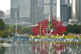 白鹭翔城央，鸟鸣伴归家，广州把森林“请”进城市图片