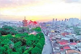 源于血脉的执着图片