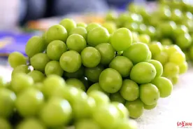 “葡萄界爱马仕”跌落神坛？6年，从每斤300元跌至每斤10元“阳光玫瑰”怎么了…图片
