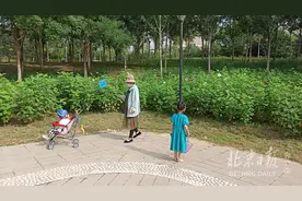房山封控管理区域清零！安静21天的阎村公园又热闹起来图片