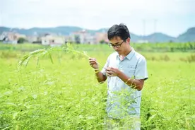 “4·13”以来三亚新增人才落户近4万人 今年前7个月新增落户已超2020年全年图片