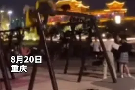俩男孩在公园内玩娱乐设施，把秋千玩出了“海盗船”的感觉图片