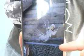 男子过生日点外卖，超时太久取消订单，骑手当面怒砸外卖图片