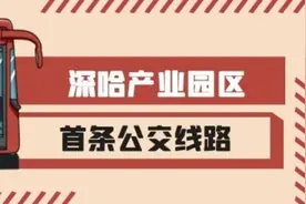 公交146路区间车调整！系开进深哈产业园区首条公交线路图片