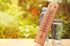 处暑后吃4瓜最养人、吃2瓜特伤人！不想湿气缠身、胃被搞垮，看清楚再吃图片