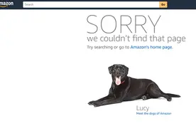 ​5万多账号被封：亚马逊严打跨境电商祸起“小卡片”图片