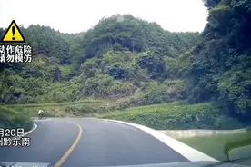 危险！小伙子骑车弯道逆行 遇车急刹飞下田图片