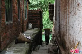 流淌红色文化血液的千年川东古镇——毛浴古镇图片