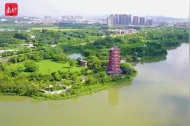 中华血脉，云端畅叙：2021海外华裔青少年东莞线上夏令营开幕图片