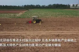河北邱县：“一镇一品”助力乡村振兴视频封面