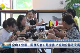 金山工业区：园区配套日趋完善 产城融合推进发展视频封面