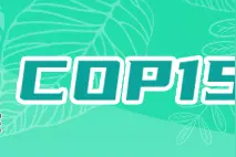 中国银行COP15宣传片｜守护图片