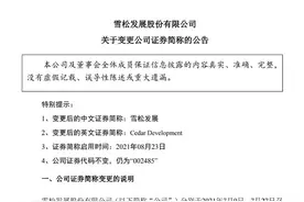 财鑫闻丨希努尔正式更名为雪松发展！服装巨头转型能否摆脱行业困境？图片