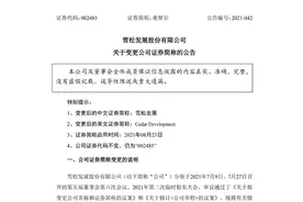 财鑫闻丨希努尔正式更名为雪松发展！服装巨头转型能否摆脱行业困境？图片