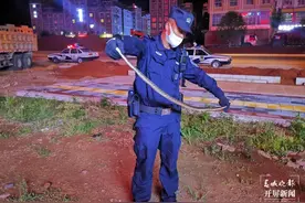 开窗通风家里爬进一条大麻蛇，曲靖一女子被吓哭图片