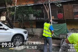 小区柚子树挂满柚子，居民却犯了愁图片